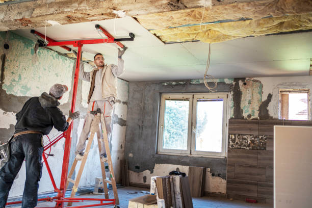 Best Geographic-Specific Insulation Services in Firestone, CO
